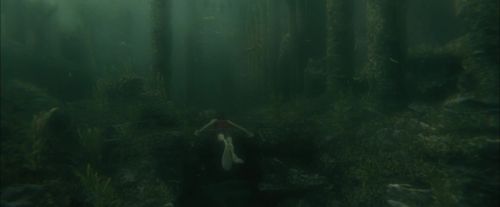 Click to view full size image
==============
CdF-Potterish_6007.jpg CdF-Potterish_6007.jpg