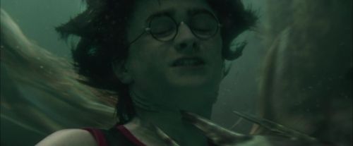 CdF-Potterish_6068.jpg