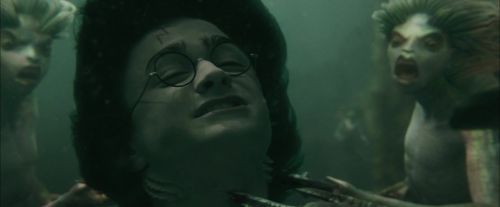 Click to view full size image
==============
CdF-Potterish_6074.jpg CdF-Potterish_6074.jpg