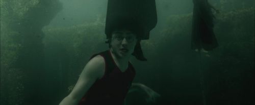 CdF-Potterish_6083.jpg