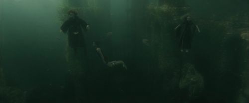 Click to view full size image
==============
CdF-Potterish_6097.jpg CdF-Potterish_6097.jpg