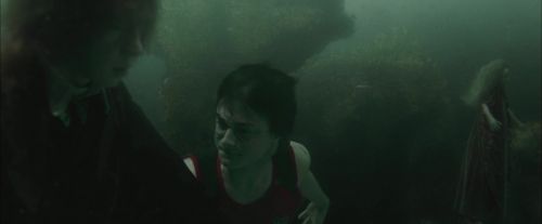 CdF-Potterish_6098.jpg