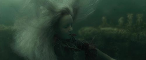 Click to view full size image
==============
CdF-Potterish_6101.jpg CdF-Potterish_6101.jpg