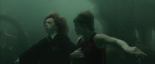 CdF-Potterish_6113.jpg