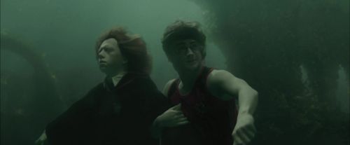 Click to view full size image
==============
CdF-Potterish_6114.jpg CdF-Potterish_6114.jpg