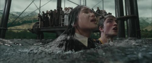 Click to view full size image
==============
CdF-Potterish_6121.jpg CdF-Potterish_6121.jpg