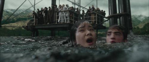 Click to view full size image
==============
CdF-Potterish_6122.jpg CdF-Potterish_6122.jpg