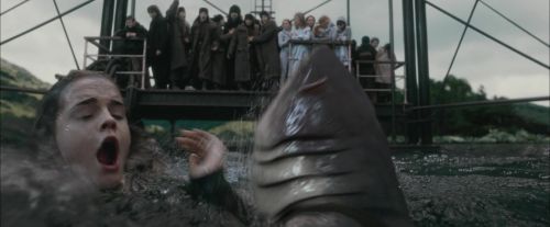 CdF-Potterish_6140.jpg