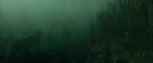 Click to view full size image
==============
CdF-Potterish_6153.jpg CdF-Potterish_6153.jpg