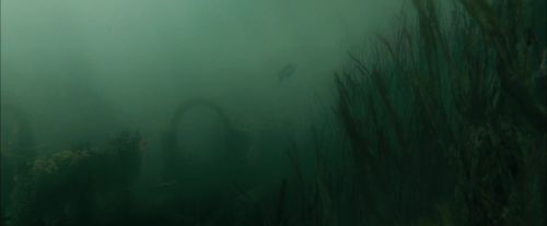 CdF-Potterish_6156.jpg