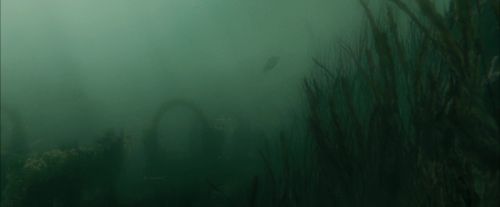 Click to view full size image
==============
CdF-Potterish_6157.jpg CdF-Potterish_6157.jpg