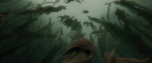 CdF-Potterish_6170.jpg