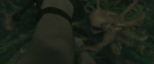 CdF-Potterish_6171.jpg