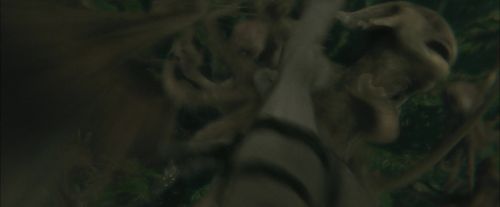 CdF-Potterish_6172.jpg