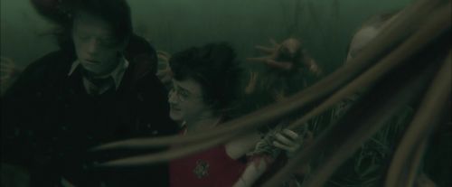 CdF-Potterish_6175.jpg