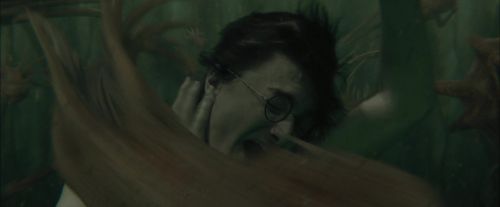 CdF-Potterish_6179.jpg