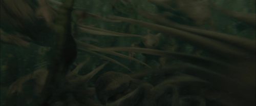 Click to view full size image
==============
CdF-Potterish_6183.jpg CdF-Potterish_6183.jpg