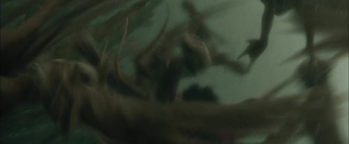 Click to view full size image
==============
CdF-Potterish_6185.jpg CdF-Potterish_6185.jpg