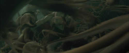 CdF-Potterish_6190.jpg