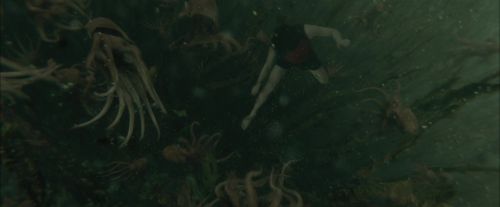 CdF-Potterish_6197.jpg