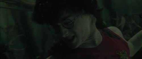CdF-Potterish_6198.jpg