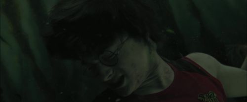 CdF-Potterish_6199.jpg