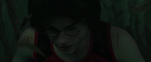 CdF-Potterish_6216.jpg