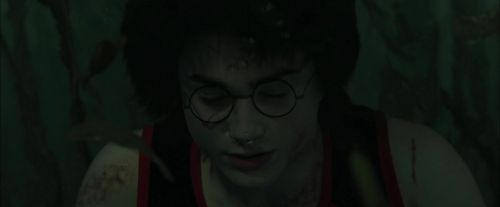 CdF-Potterish_6217.jpg