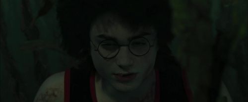 CdF-Potterish_6218.jpg
