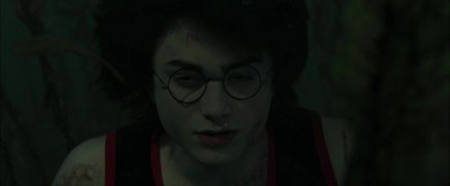 CdF-Potterish_6219.jpg