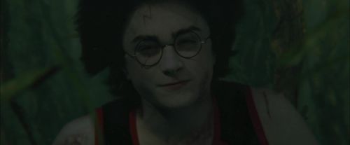 Click to view full size image
==============
CdF-Potterish_6225.jpg CdF-Potterish_6225.jpg