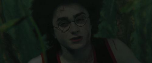 CdF-Potterish_6226.jpg