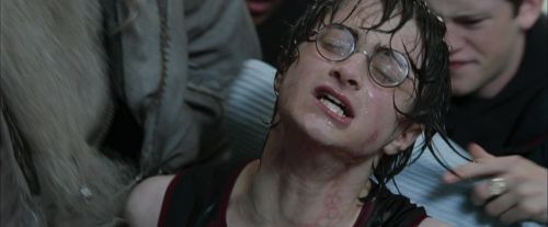 Click to view full size image
==============
CdF-Potterish_6240.jpg CdF-Potterish_6240.jpg