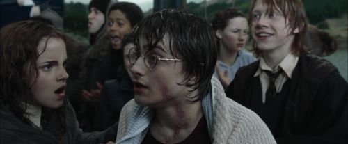 Click to view full size image
==============
CdF-Potterish_6323.jpg CdF-Potterish_6323.jpg