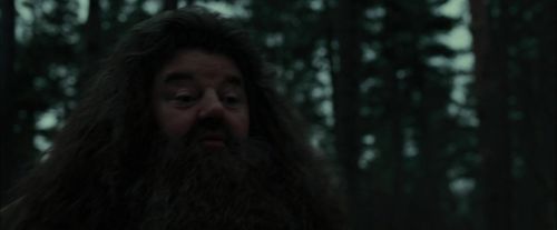 CdF-Potterish_6417.jpg