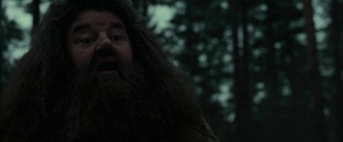 CdF-Potterish_6418.jpg