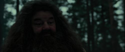 CdF-Potterish_6419.jpg