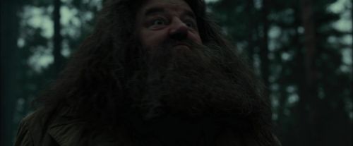 Click to view full size image
==============
CdF-Potterish_6420.jpg CdF-Potterish_6420.jpg