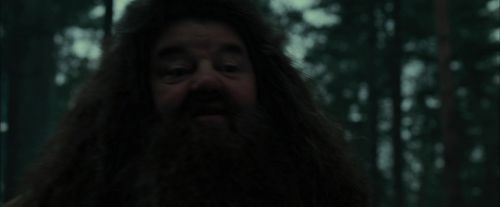 CdF-Potterish_6421.jpg