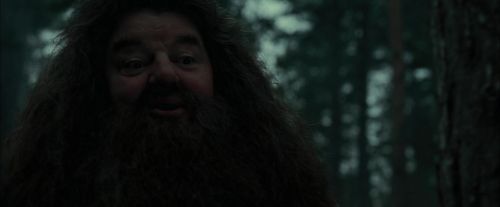 CdF-Potterish_6422.jpg