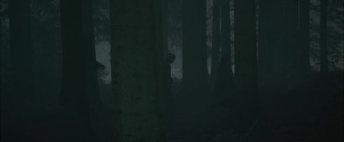 Click to view full size image
==============
CdF-Potterish_6423.jpg CdF-Potterish_6423.jpg