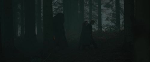 CdF-Potterish_6427.jpg