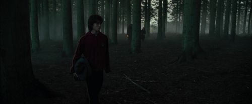 CdF-Potterish_6435.jpg