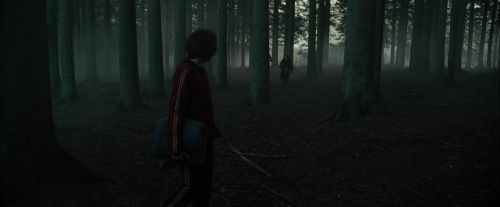 CdF-Potterish_6436.jpg