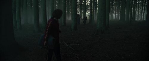 Click to view full size image
==============
CdF-Potterish_6437.jpg CdF-Potterish_6437.jpg