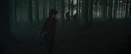 CdF-Potterish_6438.jpg