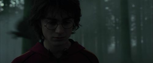 CdF-Potterish_6439.jpg