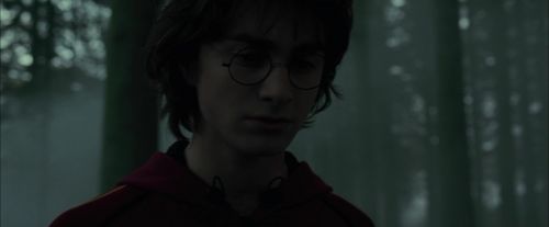CdF-Potterish_6440.jpg
