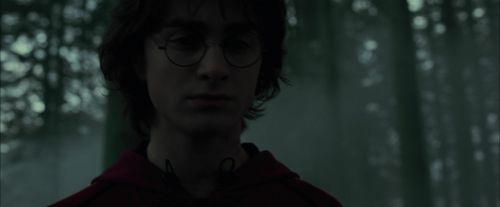 Click to view full size image
==============
CdF-Potterish_6441.jpg CdF-Potterish_6441.jpg