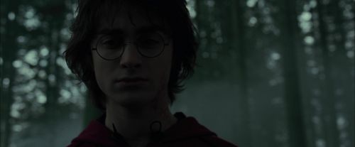 CdF-Potterish_6442.jpg